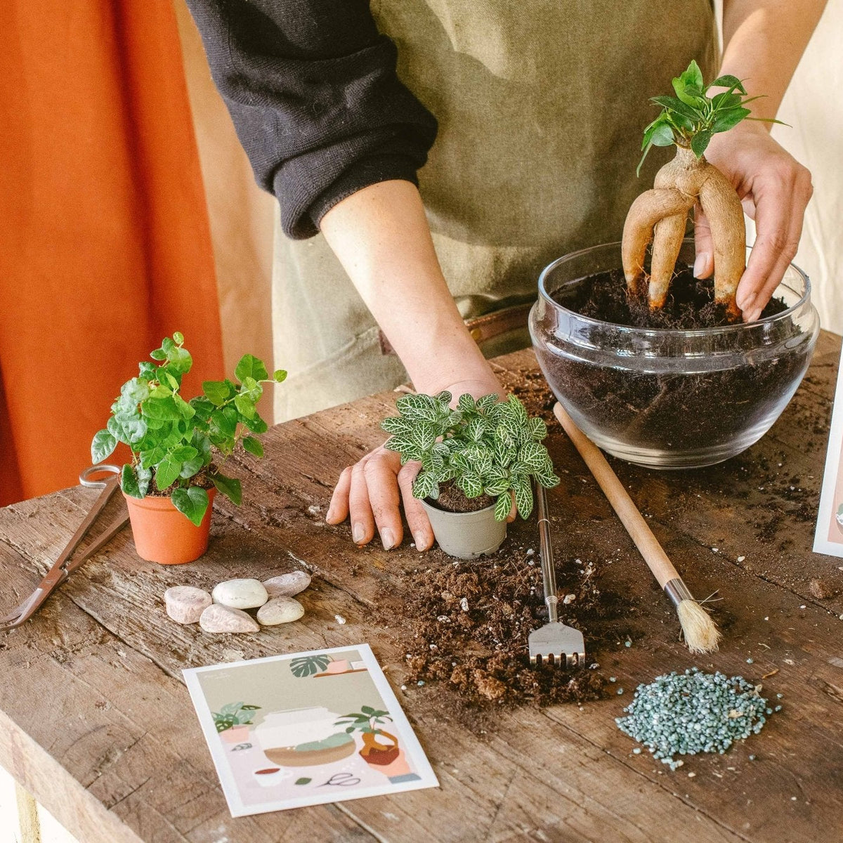 Kit Terrarium DIY Paris - Créez Votre Jardin Miniature Autonome