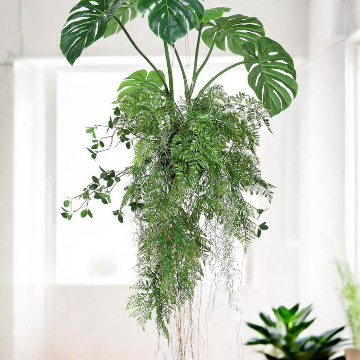 Sitemapcdatahttpsshopinf Inetcomfausses Plantes Tombantes