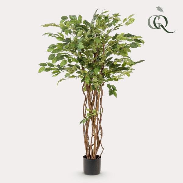 Livraison plante Ficus liane artificiel