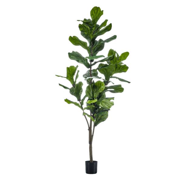 Livraison plante Ficus Lyrata artificiel