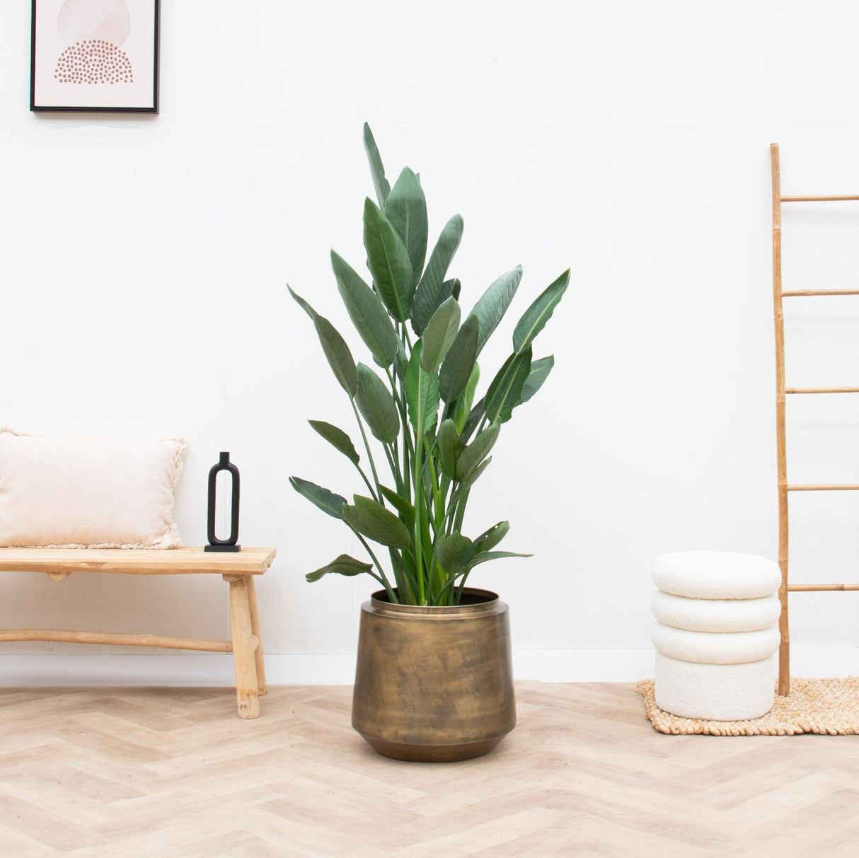 Livraison plante Pot Vintage Indigo Or 24 cm