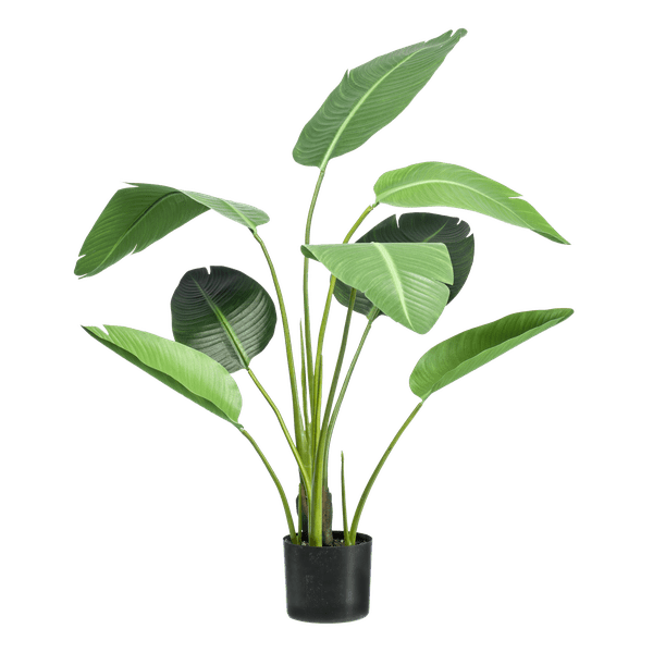 Livraison plante Strelitzia nicolai artificiel