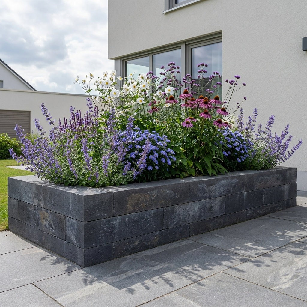 Pack Massif Plein Soleil Rose & Violet (Cataire) - 30 plantes — photo 2