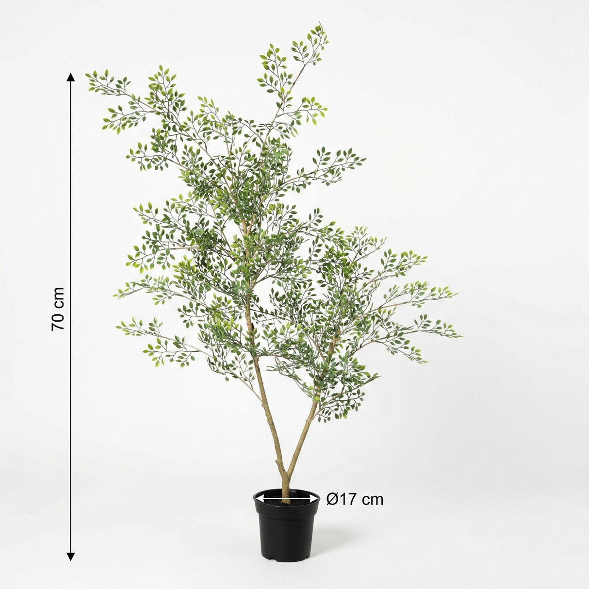 Bucida plante artificielle