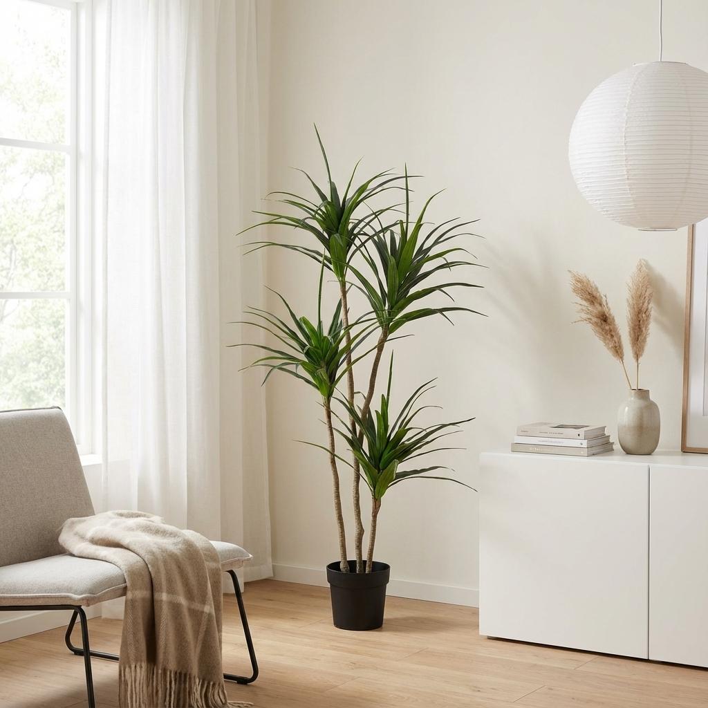 Dracaena Plante plante artificielle