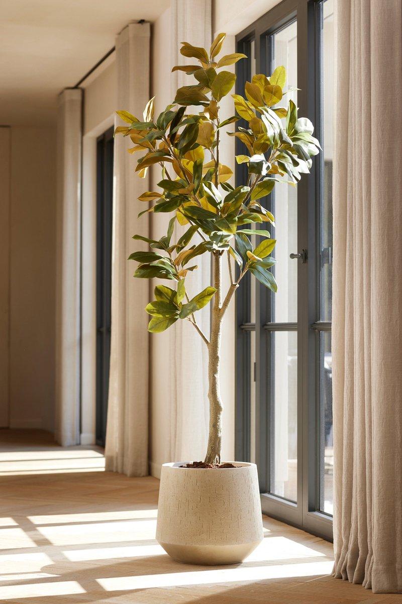 Magnolia plante artificielle