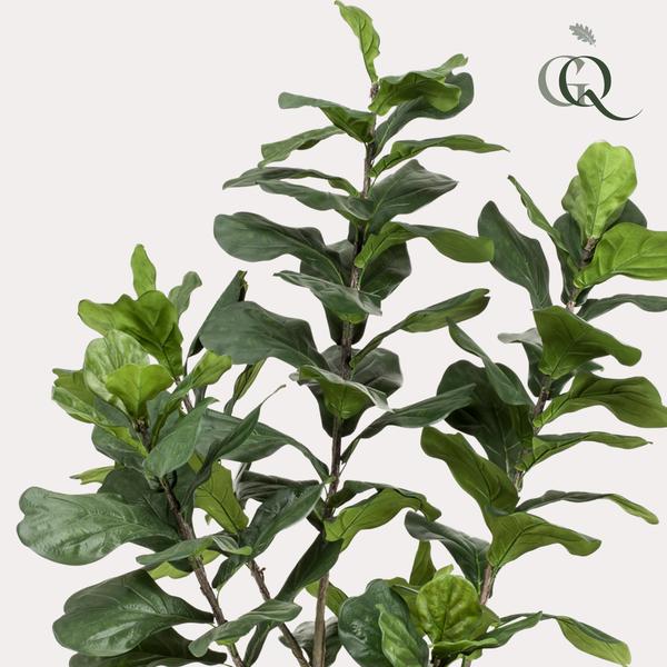 Ficus Lyrata plante artificielle
