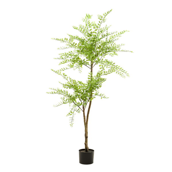 Sophora Arbuste plante artificielle