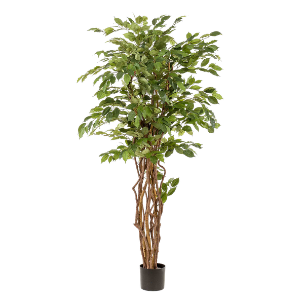 Ficus Liana plante artificielle