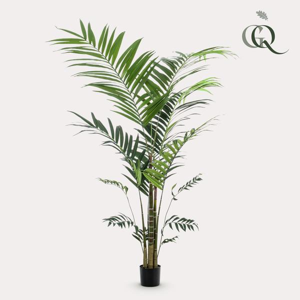 Kentia plante artificielle