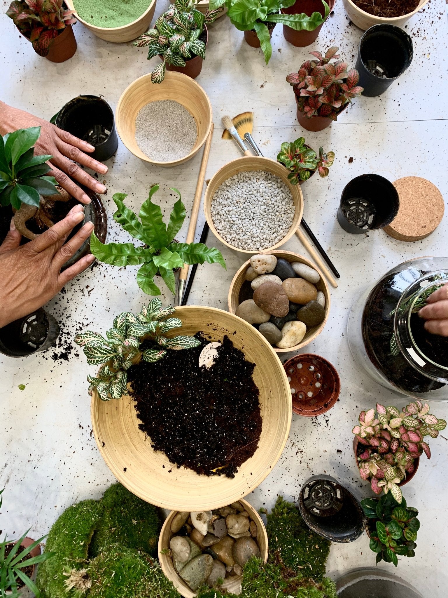 5 ateliers DIY pour une évasion végétale et florale au coeur de Paris  - La Green Touch - La Green Touch