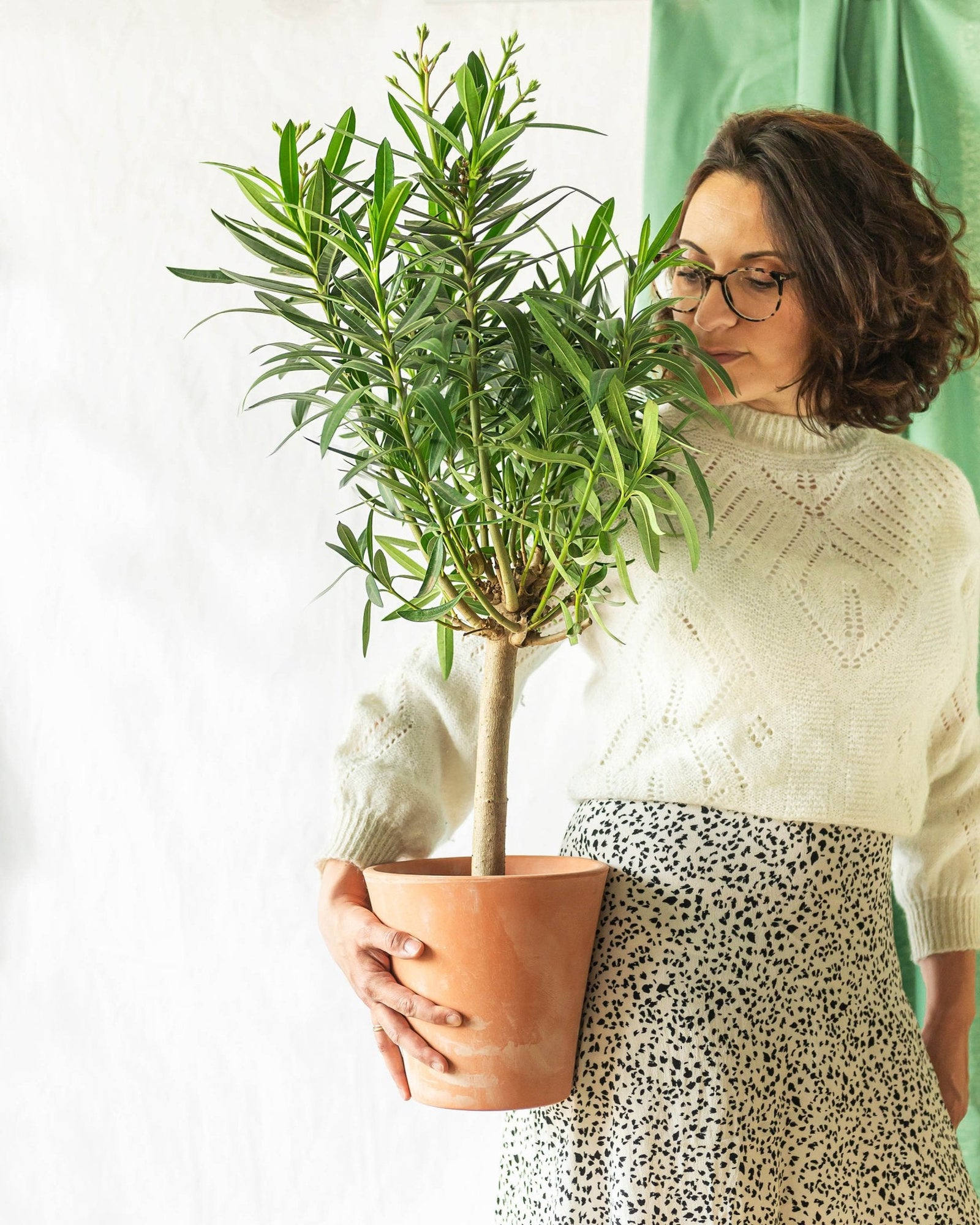 5 plantes idéales pour les petits balcons - La Green Touch