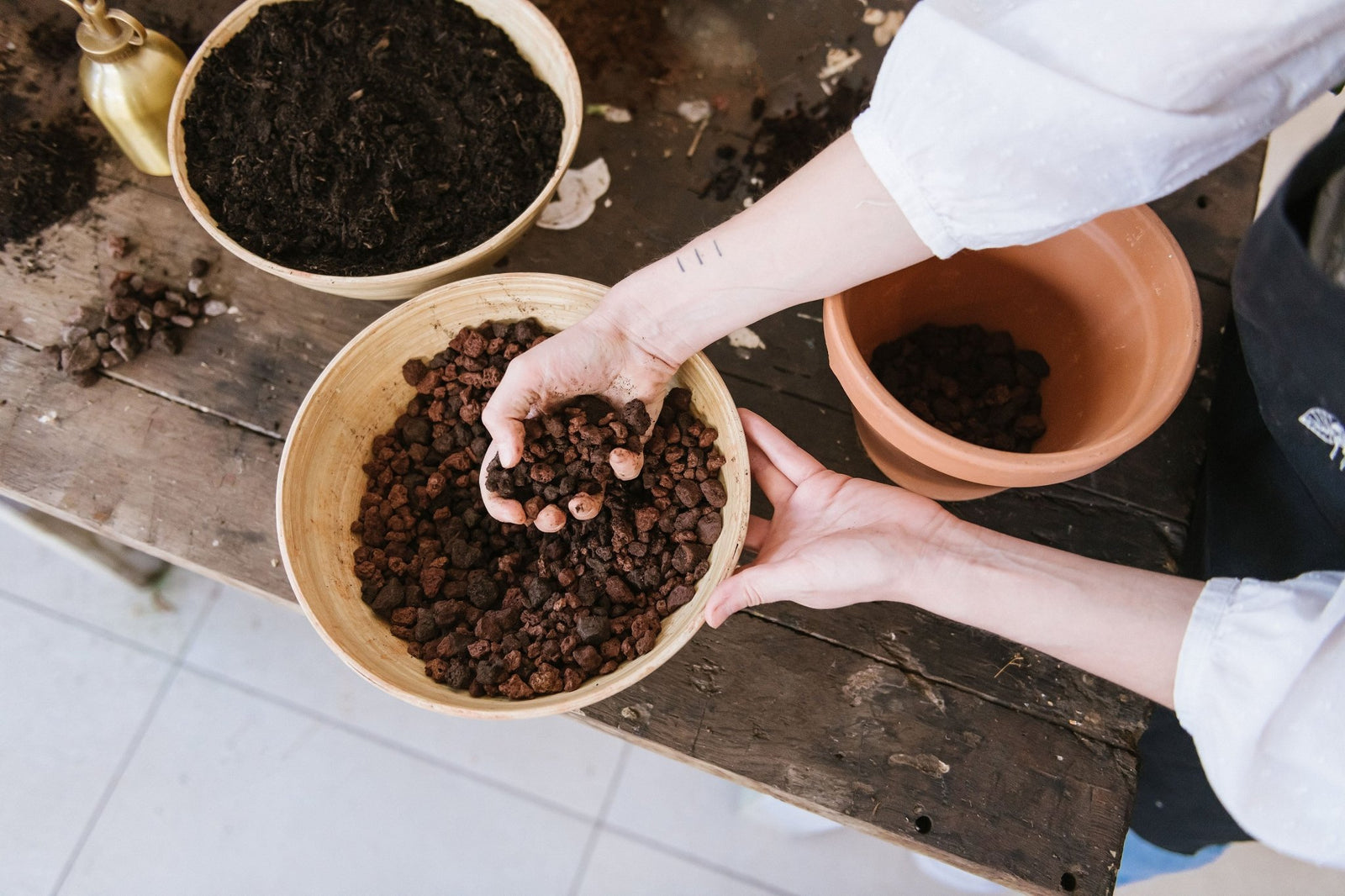 Plantes en pot : à quoi sert les billes d'argile?? 