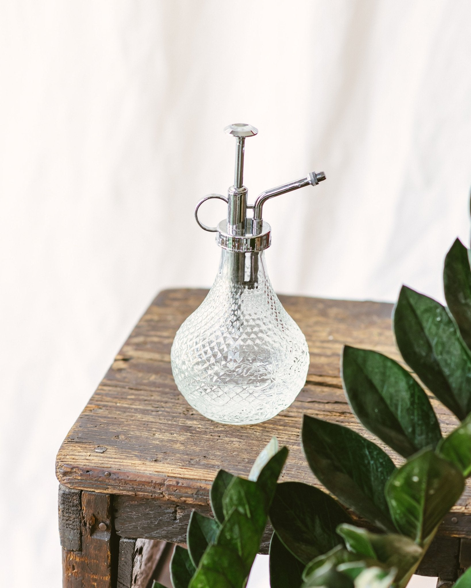 Comment arroser ses plantes pendant les vacances ?