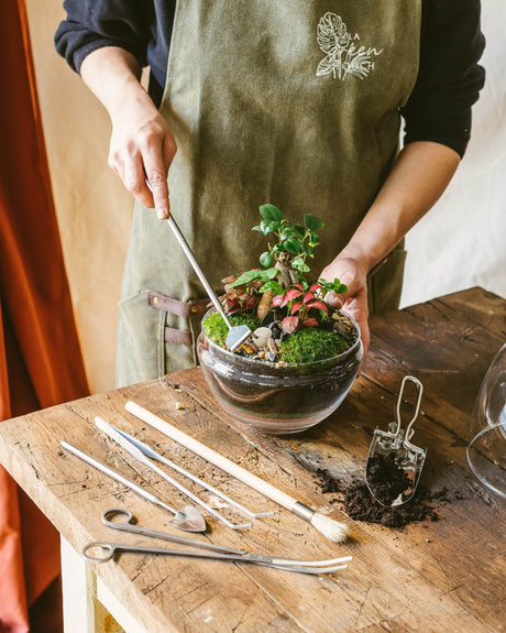 Comment choisir les bons outils pour entretenir ses plantes ? - La Green Touch