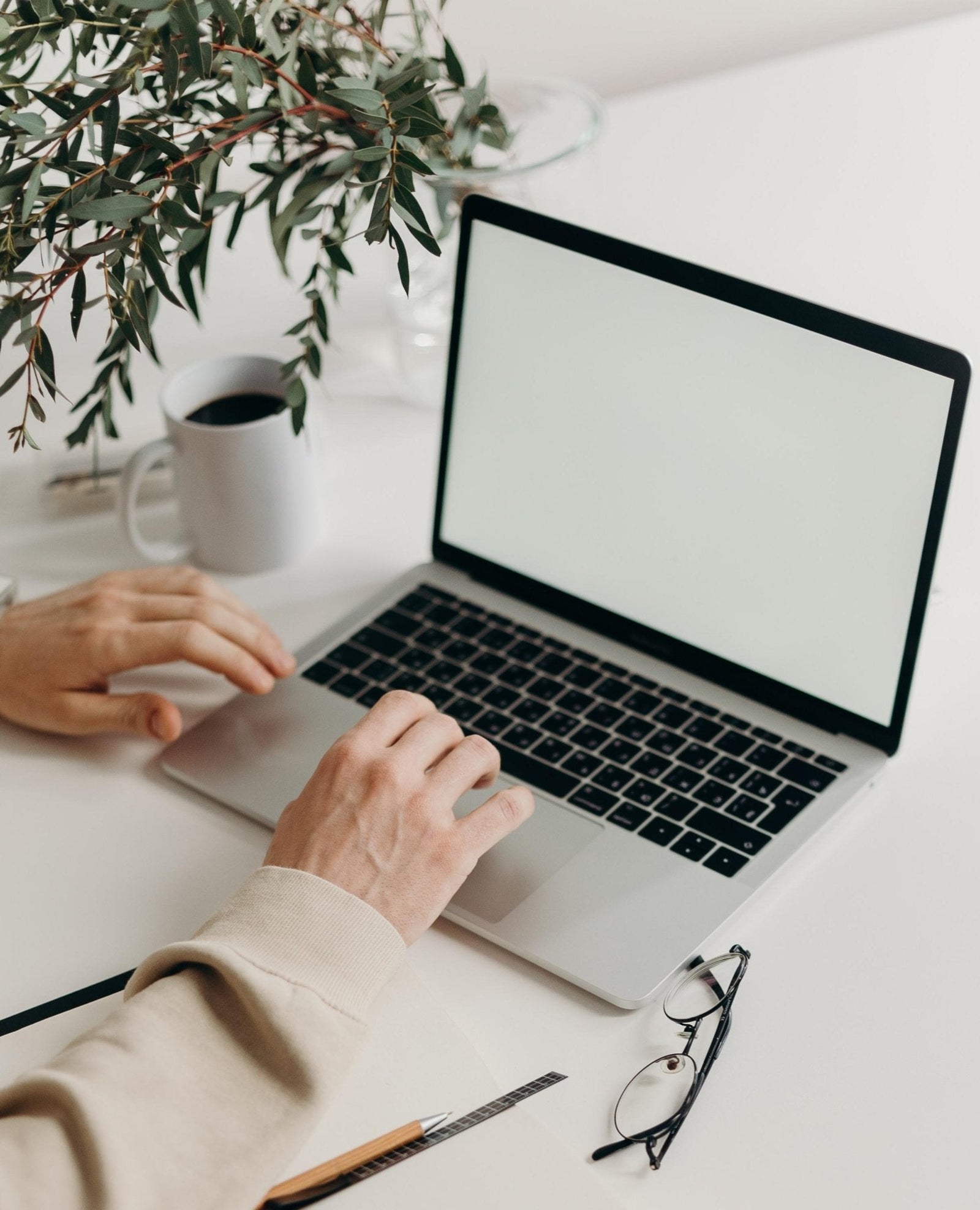 Des plantes dans son espace de travail pour une meilleure productivité - La Green Touch