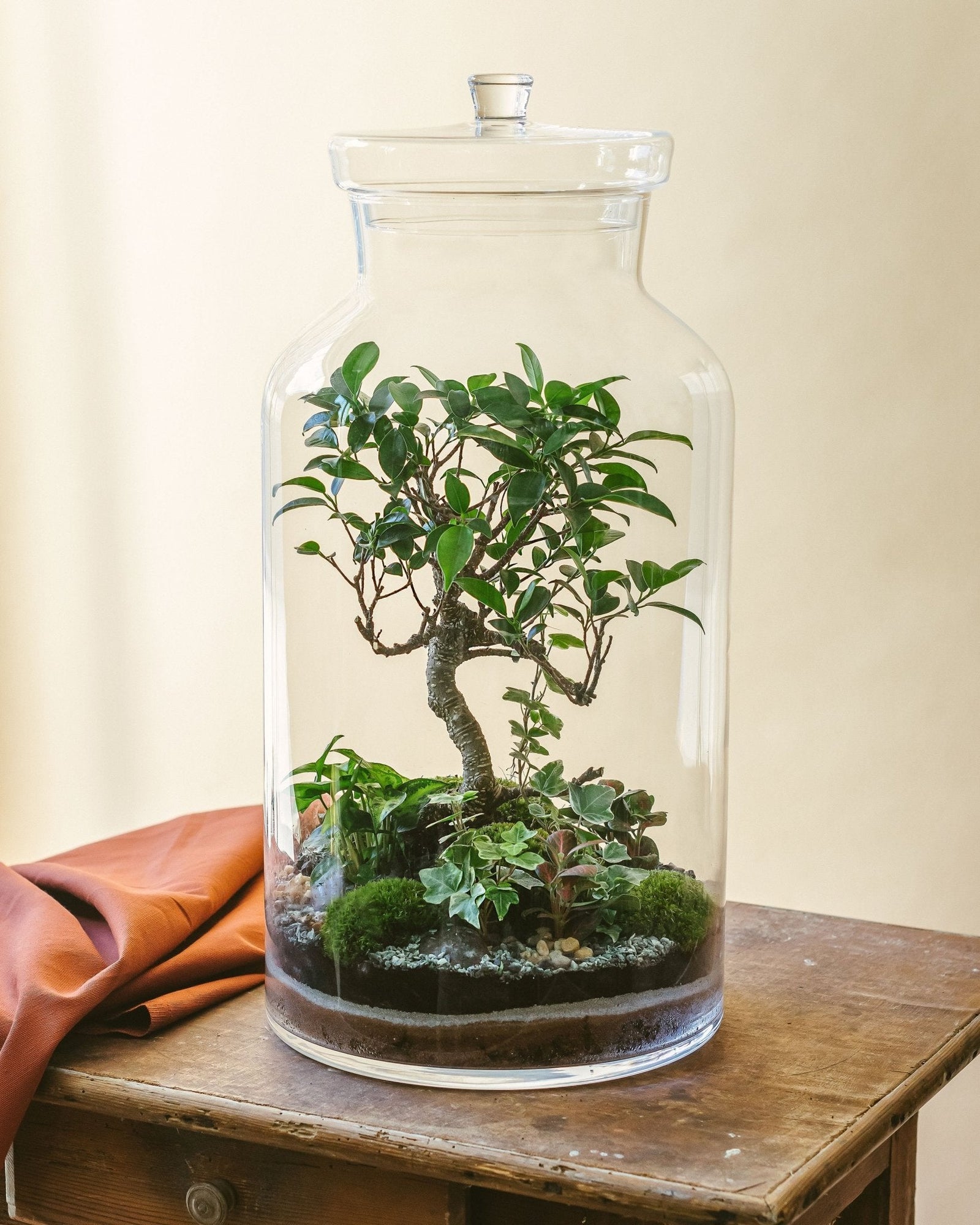 Idée cadeau : les avantages du terrarium - La Green Touch