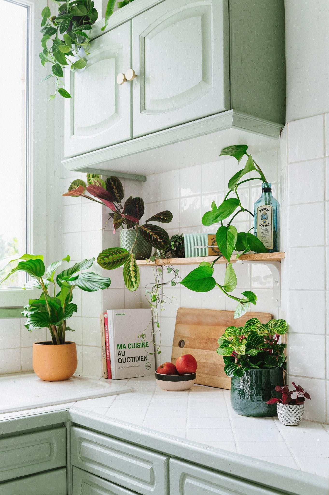Les 5 bonnes raisons d'avoir une plante d'intérieur dans sa cuisine - La Green Touch