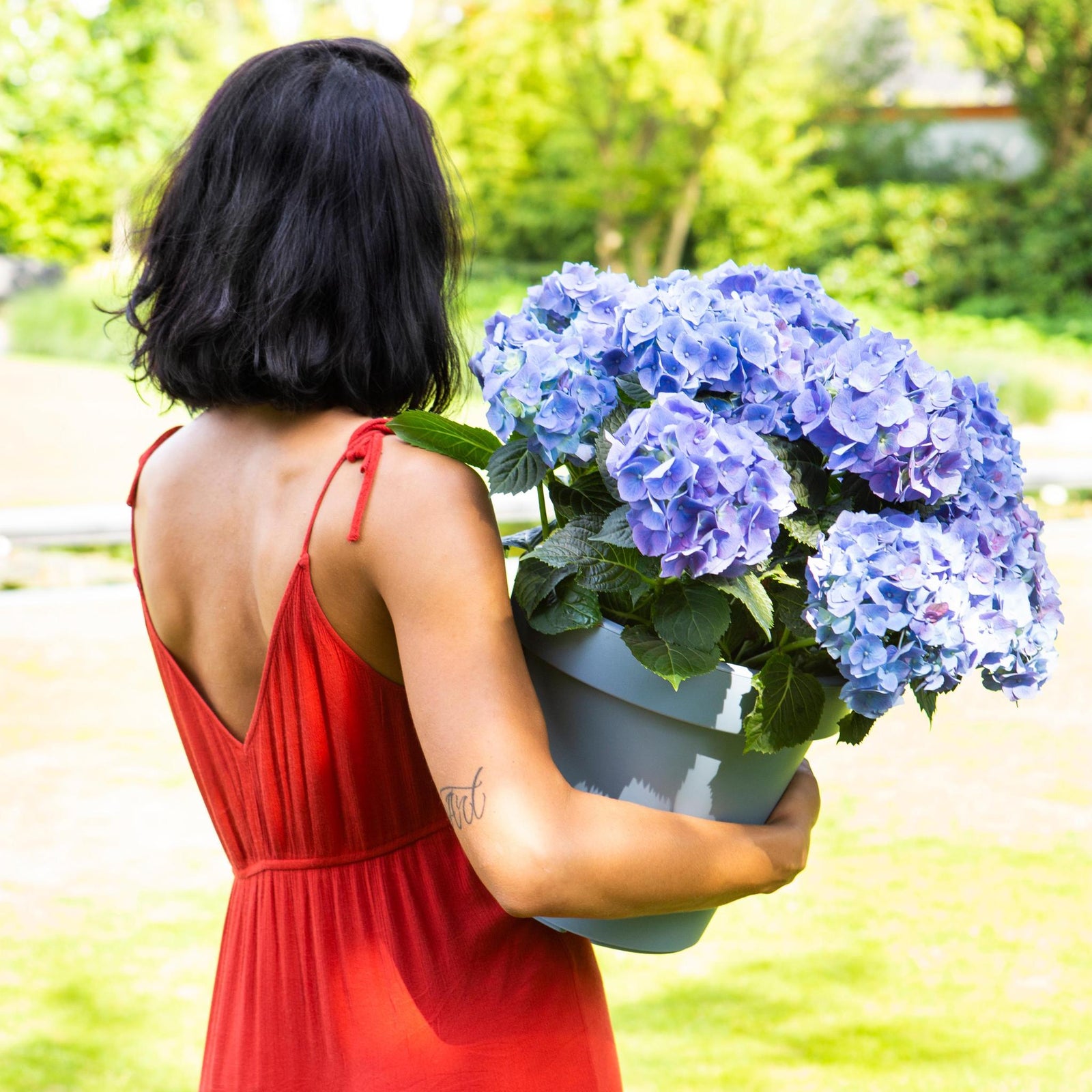 Les avantages des plantes d'extérieur fleuries : 5 bonnes raisons de les adopter dans votre jardin - La Green Touch