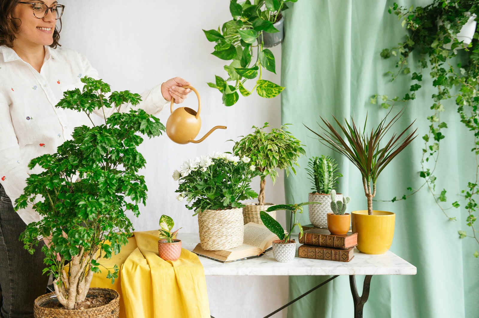 Les erreurs à éviter avec vos plantes d’intérieur en fin d’hiver - La Green Touch