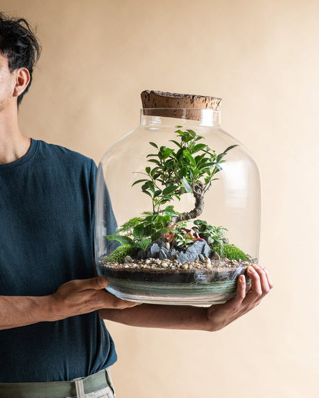 Nos conseils pour entretenir et sauver votre terrarium. - La Green Touch