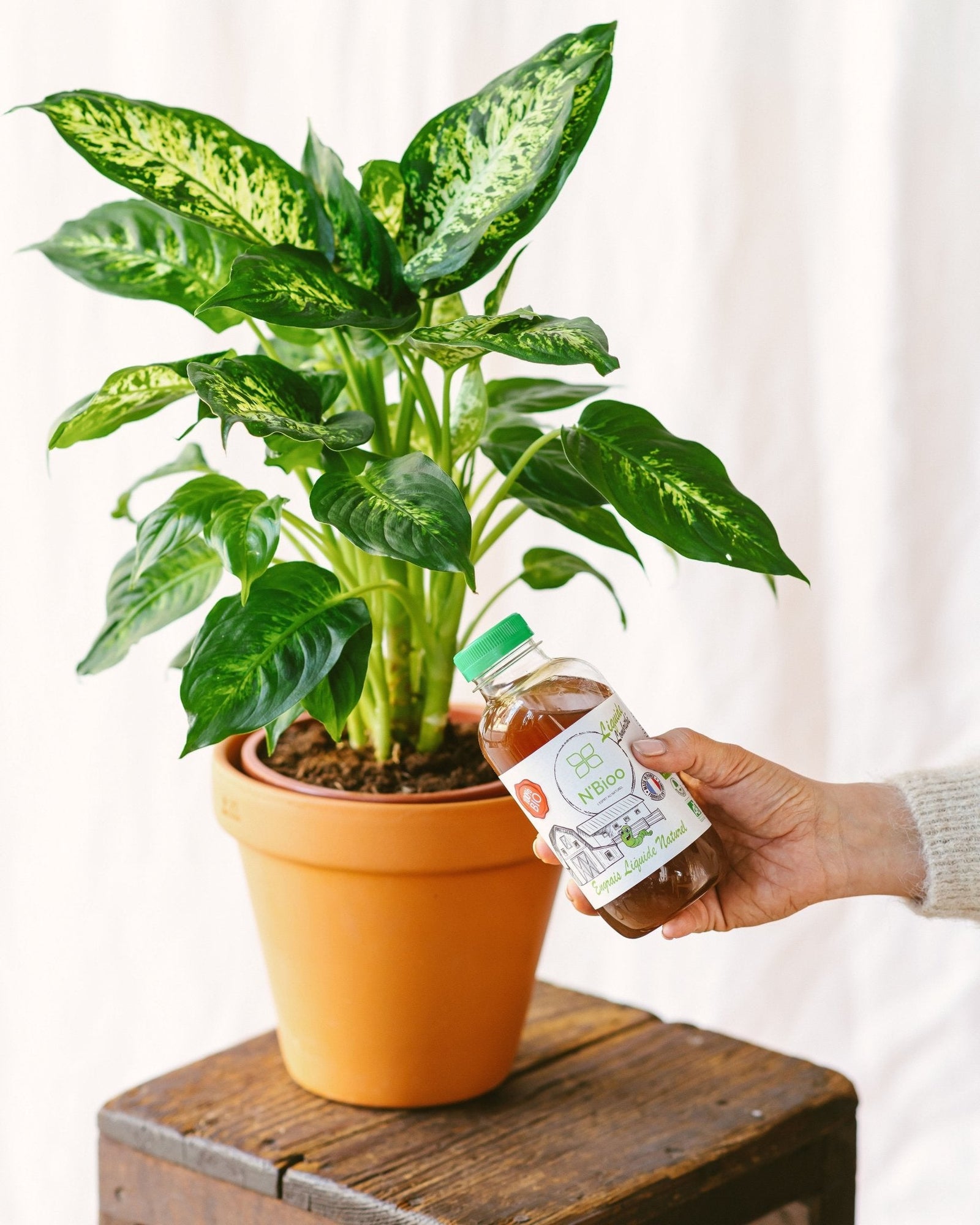 Quel engrais pour vos plantes ? - La Green Touch