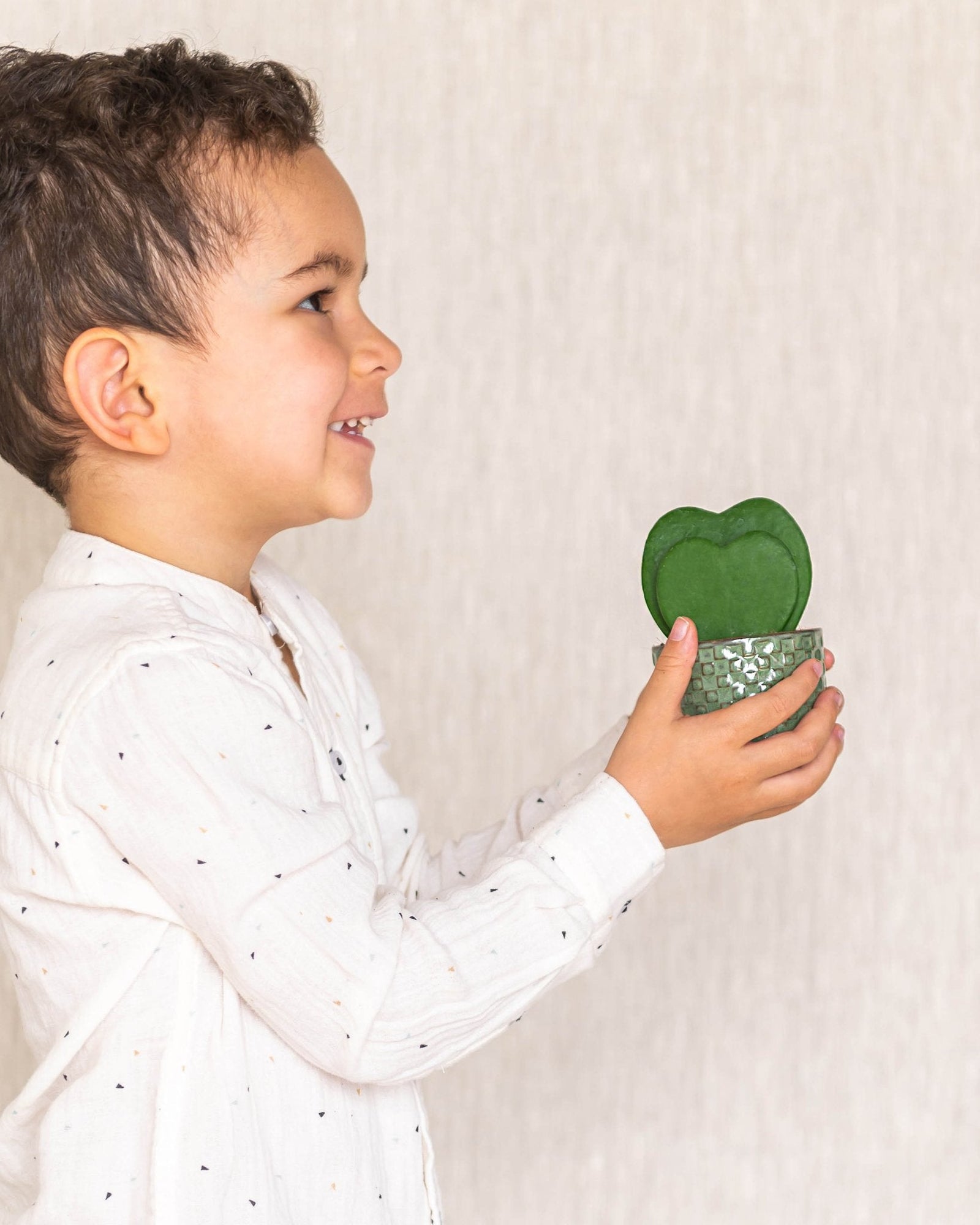 Quelles plantes offrir pour la fête des mères ? - La Green Touch