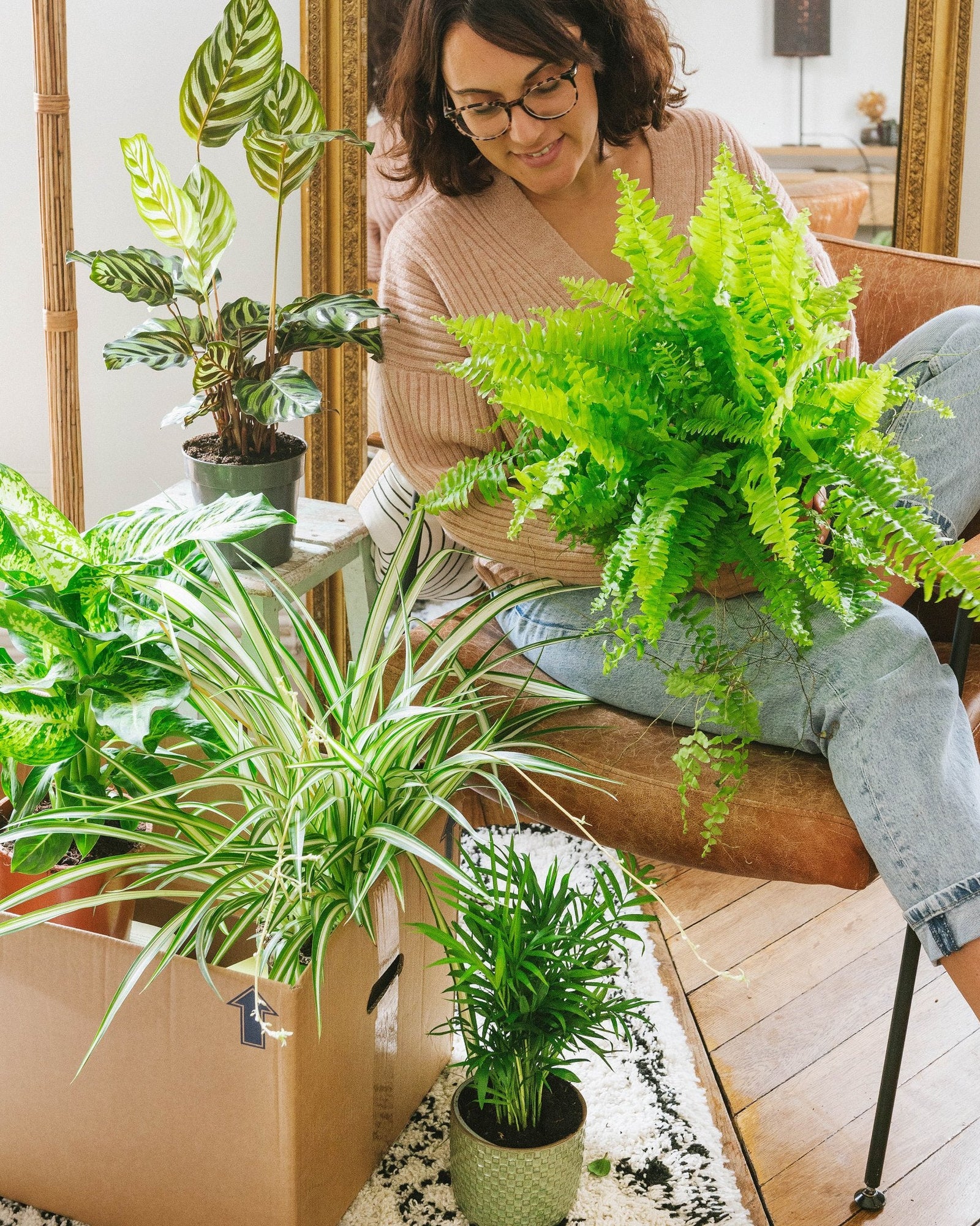 Quels sont les différents types de plantes ? - La Green Touch