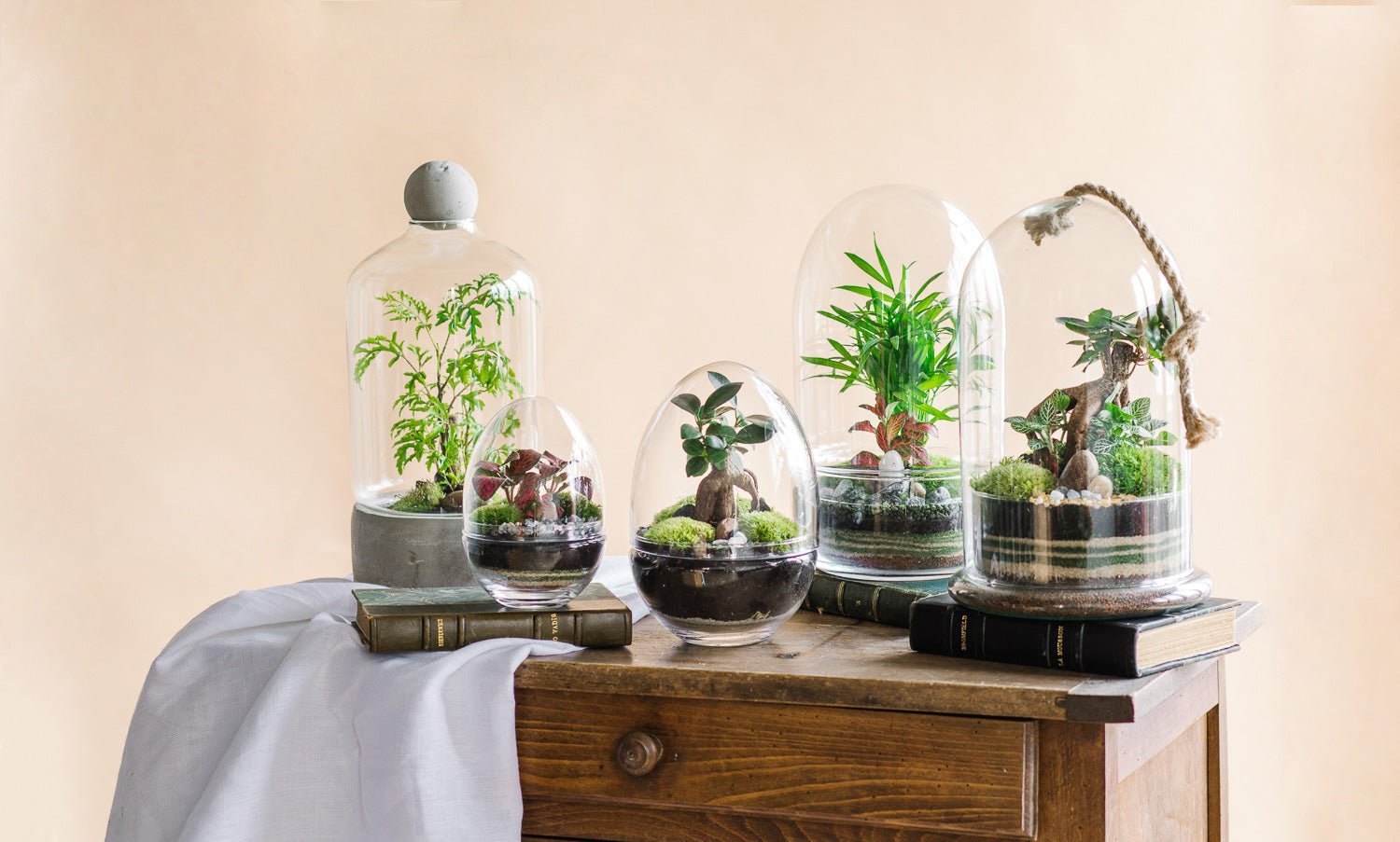 Terrarium : les raisons de (s')offrir cet objet tendance - La Green Touch