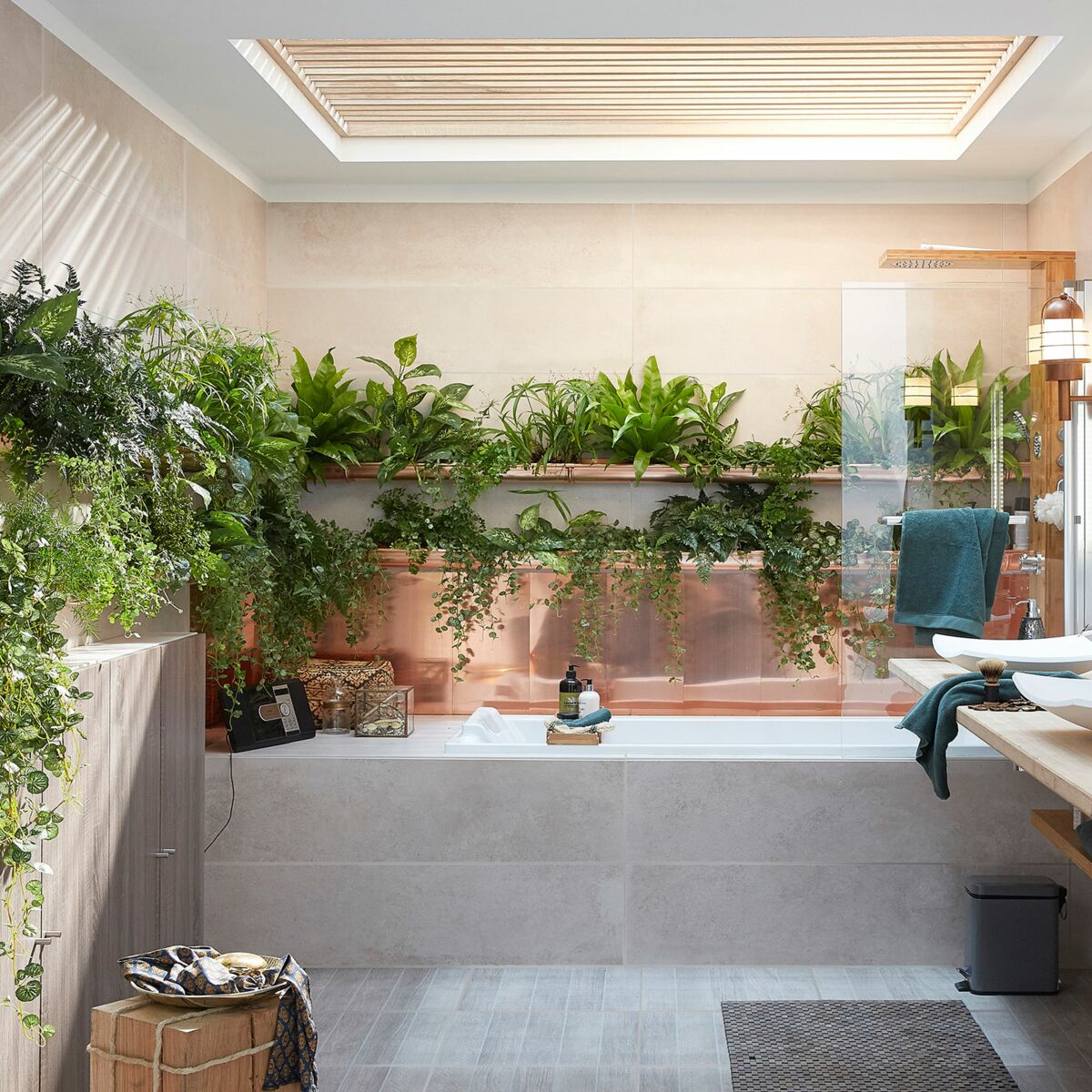 Top 5 des plantes à mettre dans sa salle de bain - La Green Touch - La Green Touch