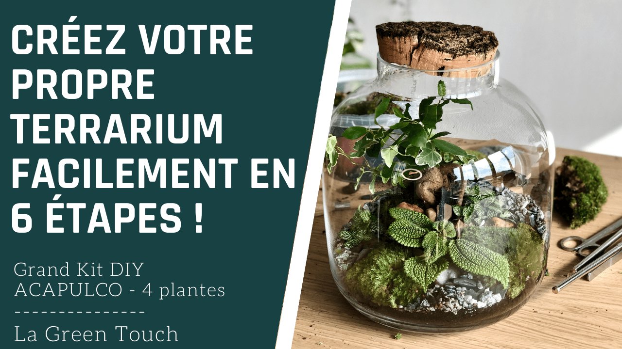 Tutoriel : Créez votre propre terrarium facilement en 6 étapes - Kit Acapulco La Green Touch - La Green Touch