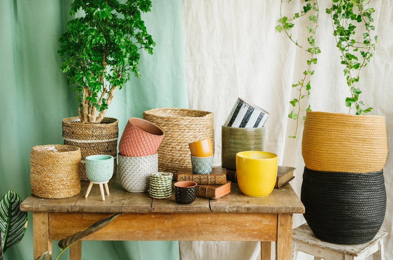 15 cache-pots pour sublimer vos plantes  Pot de fleur interieur,  Décoration plantes intérieur, Cache-pot
