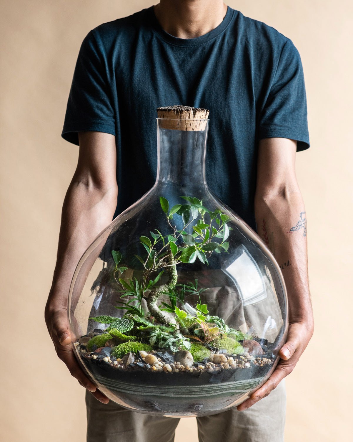Fête des Pères : des plantes pour un papa green - La Green Touch