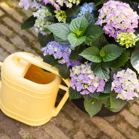 Par variété