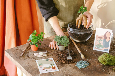 Idée cadeau jardinage. Pour ceux qui ont la main verte - Alaskan Maker
