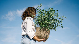 Les plantes d'extérieur incontournables