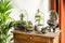 Terrarium
