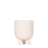 Livraison plante Pot décoratif Gummy travertin