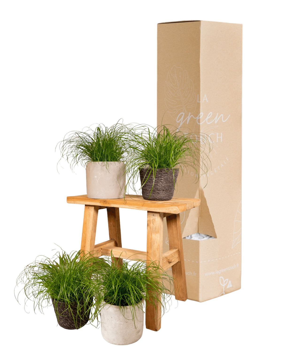 mit Pflanzen Katzenminze – La Green – Geschenkbox Touch Set – 4