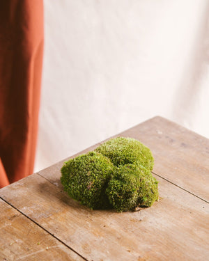 Sachet de mousses boules - Terrariums