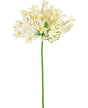 Livraison plante Agapanthe artificielle blanche