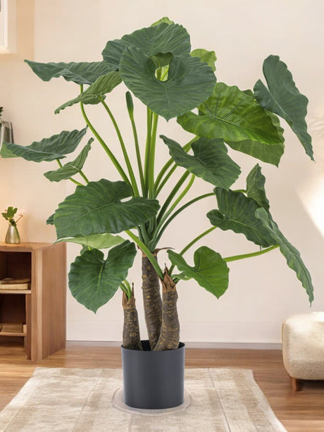 Livraison plante Alocasia - grande plante artificielle
