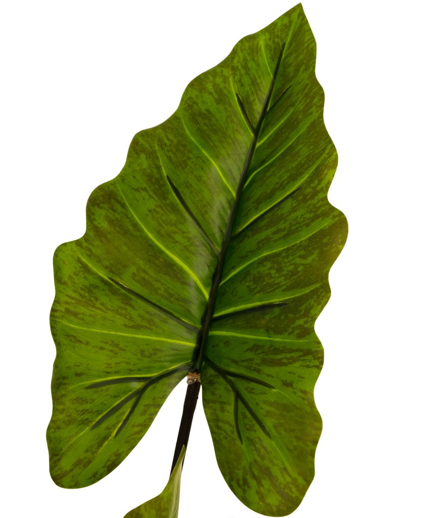 Livraison plante Alocasia - grande plante artificielle