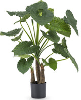 Livraison plante Alocasia - grande plante artificielle