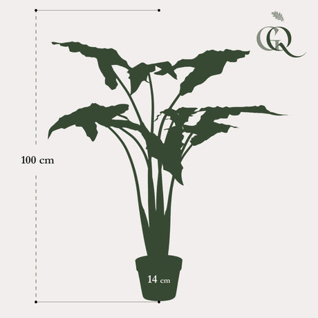 Livraison plante Alocasia plante artificielle - h100cm, Ø12cm