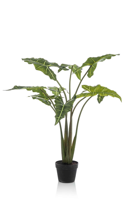 Livraison plante Alocasia plante artificielle - h100cm, Ø12cm