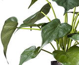 Livraison plante Alocasia - Plante verte artificielle