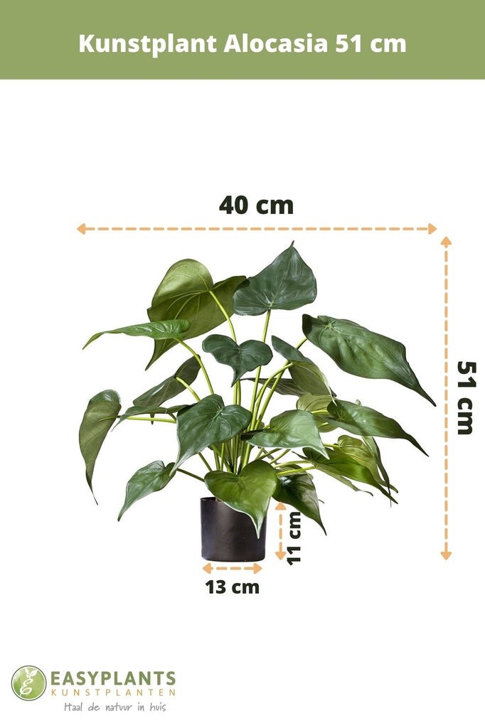 Livraison plante Alocasia - Plante verte artificielle