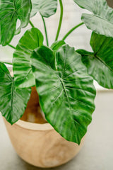 Livraison plante Alocasia - Plante verte artificielle