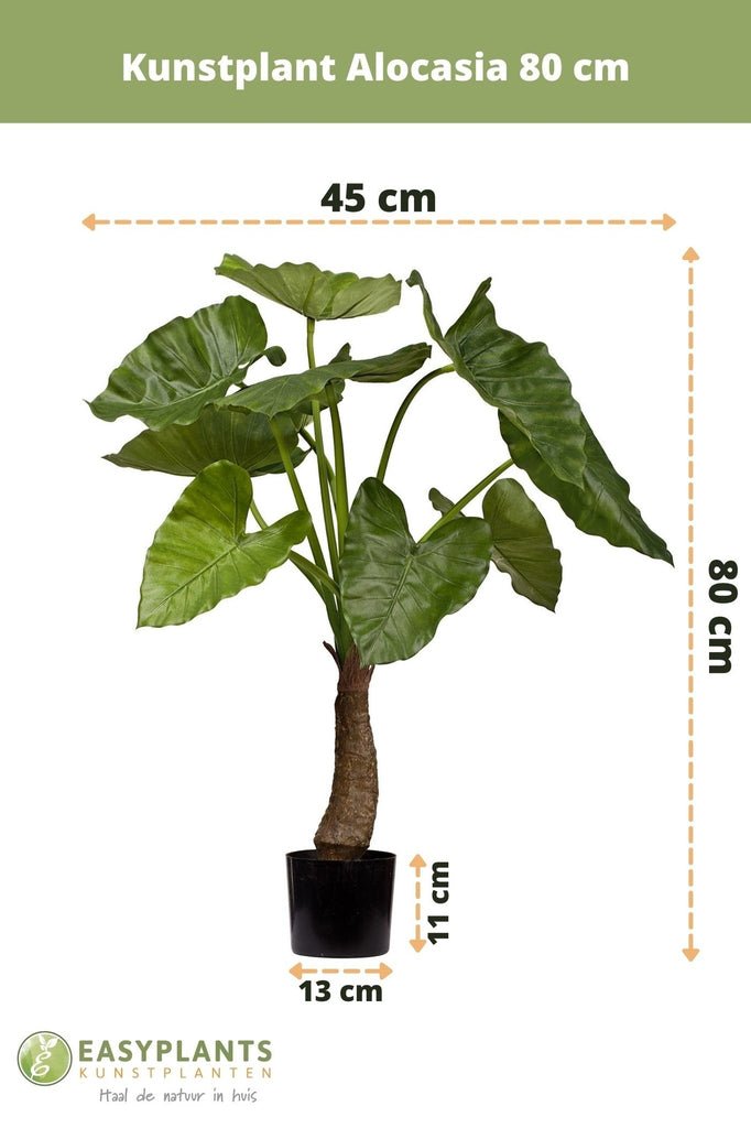 Livraison plante Alocasia - Plante verte artificielle